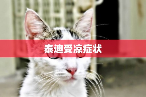 泰迪受涼癥狀