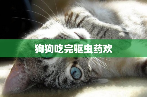 狗狗吃完驅蟲藥歡