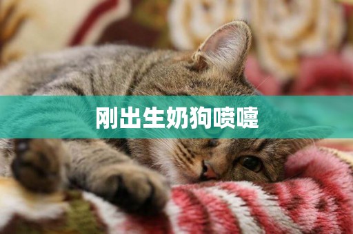 剛出生奶狗噴嚏