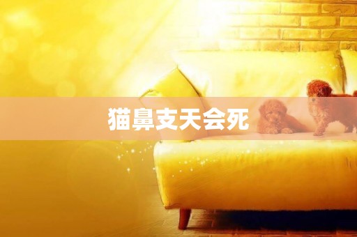 貓鼻支天會死