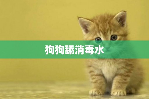 狗狗舔消毒水