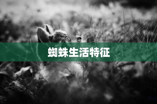 蜘蛛生活特征