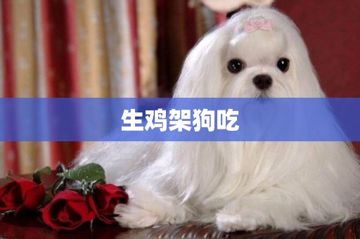 生雞架狗吃