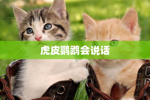 虎皮鸚鵡會說話