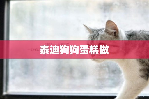 泰迪狗狗蛋糕做