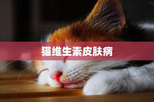 貓維生素皮膚病