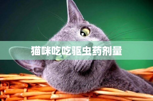 貓咪吃吃驅蟲藥劑量