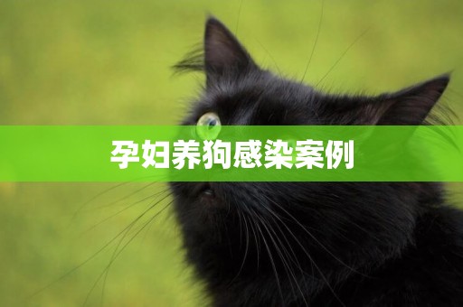 孕婦養狗感染案例