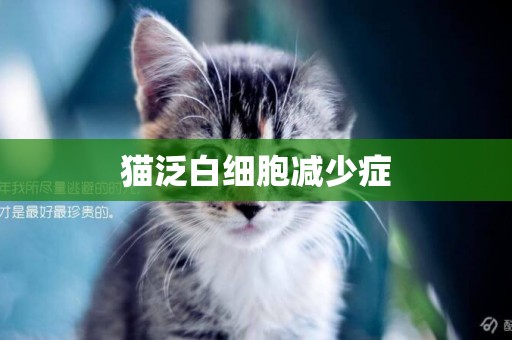 貓泛白細胞減少癥