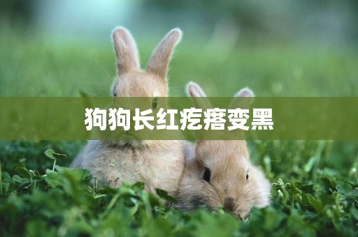 狗狗長紅疙瘩變黑