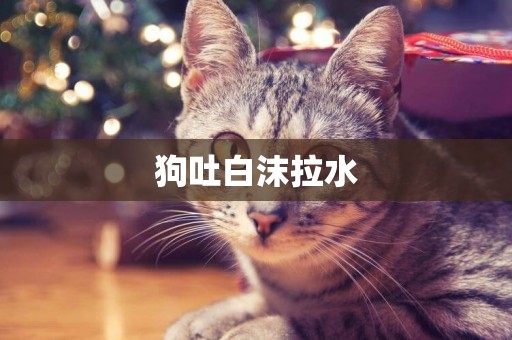 狗吐白沫拉水