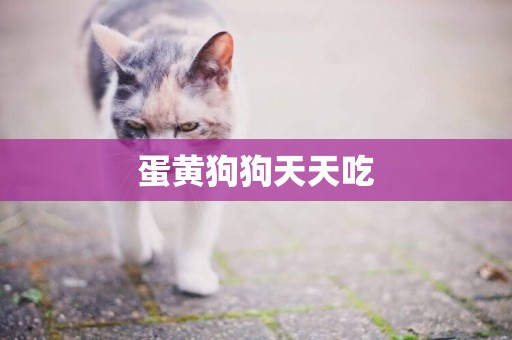 蛋黃狗狗天天吃