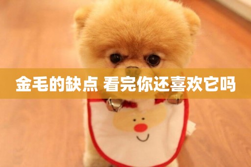 金毛的缺點 看完你還喜歡它嗎