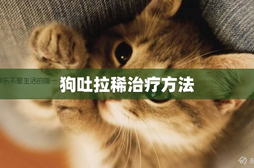 狗吐拉稀治療方法
