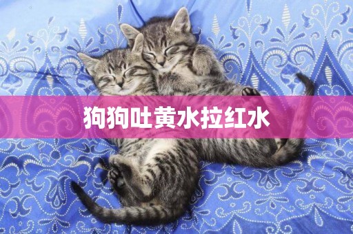 狗狗吐黃水拉紅水