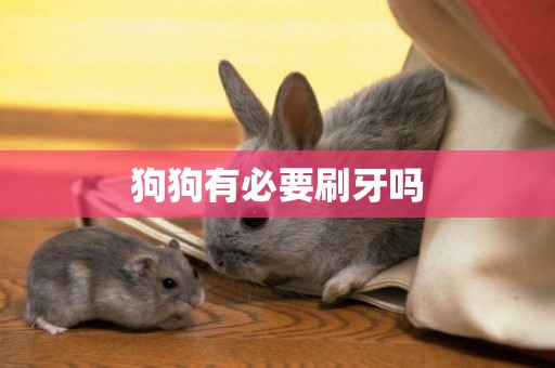 狗狗有必要刷牙嗎 狗狗有必要刷牙嗎