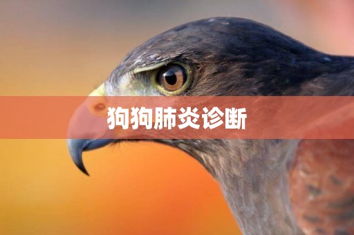 狗狗肺炎診斷