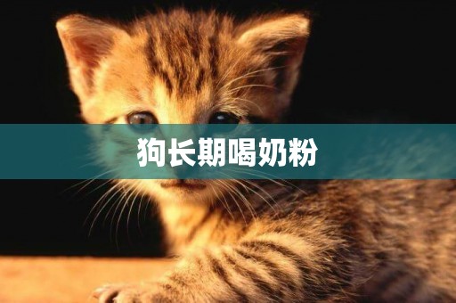 狗長期喝奶粉