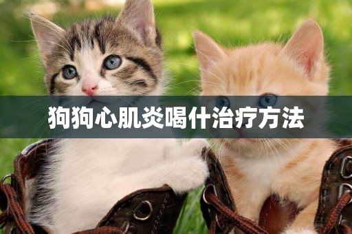 狗狗心肌炎喝什治療方法