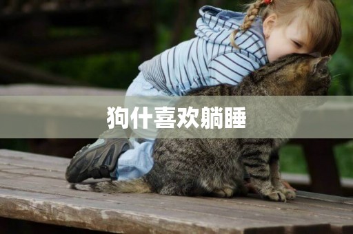 狗什喜歡躺睡