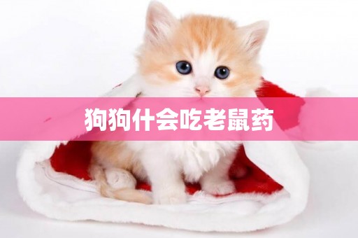 狗狗什會吃老鼠藥