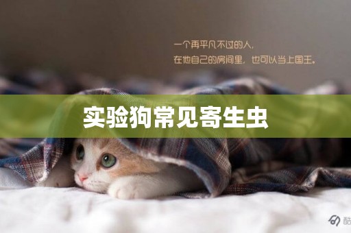 實驗狗常見寄生蟲
