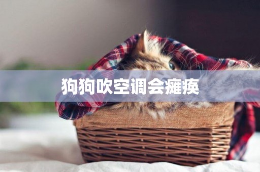 狗狗吹空調會癱瘓