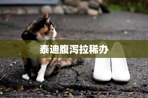 泰迪腹瀉拉稀辦