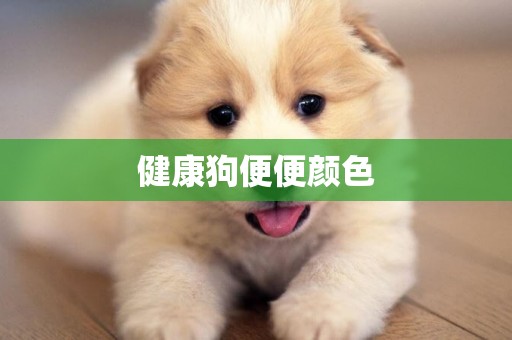 健康狗便便顏色