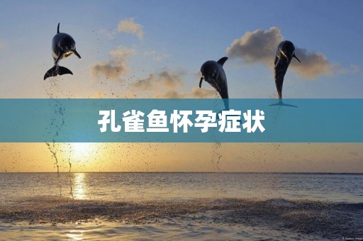 孔雀魚懷孕癥狀
