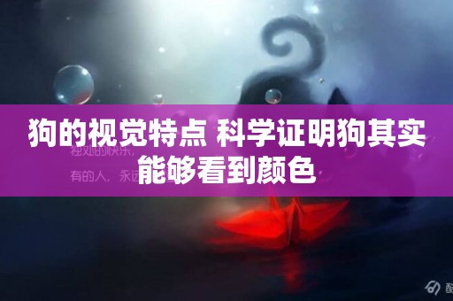 狗的視覺特點 科學證明狗其實能夠看到顏色