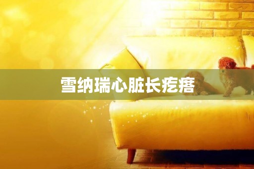 雪納瑞心臟長疙瘩