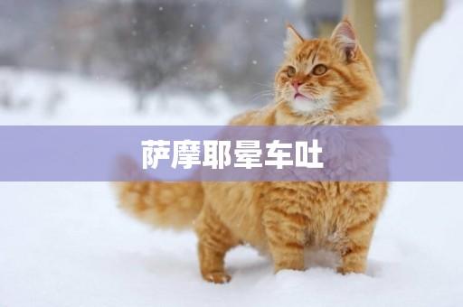 薩摩耶暈車吐