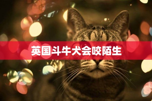 英國斗牛犬會咬陌生