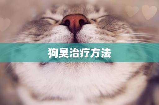 狗臭治療方法