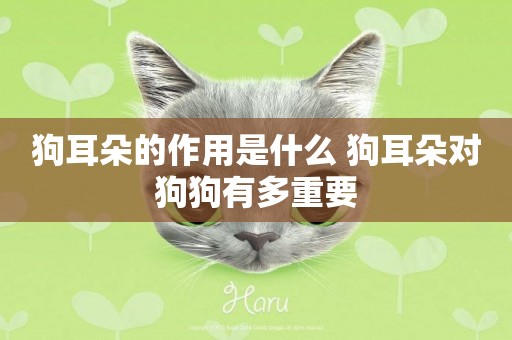 狗耳朵的作用是什么 狗耳朵對狗狗有多重要