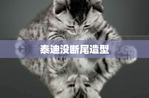 泰迪沒斷尾造型