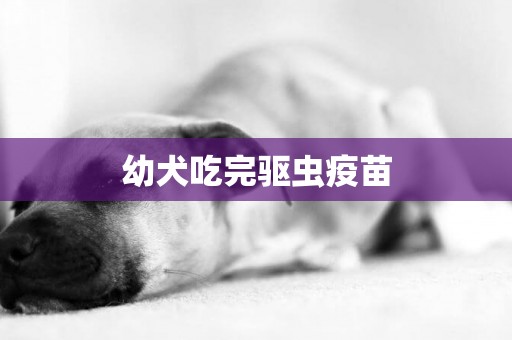幼犬吃完驅蟲疫苗