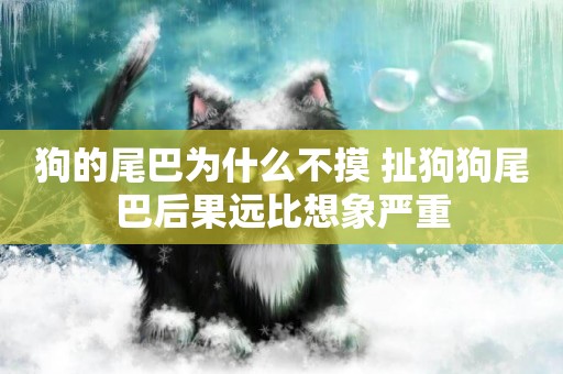 狗的尾巴為什么不摸 扯狗狗尾巴后果遠比想象嚴重