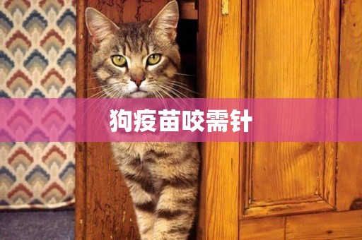 狗疫苗咬需針