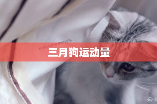 三月狗運動量
