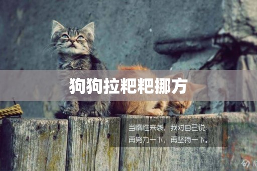 狗狗拉粑粑挪方