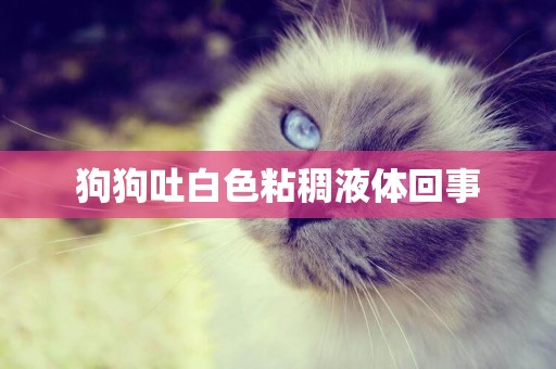 狗狗吐白色粘稠液體回事