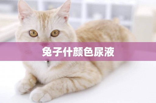 兔子什顏色尿液