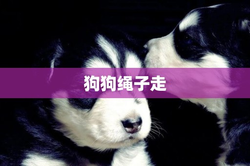 狗狗繩子走