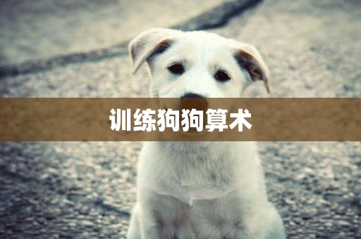 訓練狗狗算術