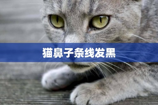 貓鼻子條線發黑
