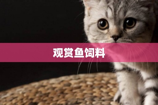 觀賞魚飼料