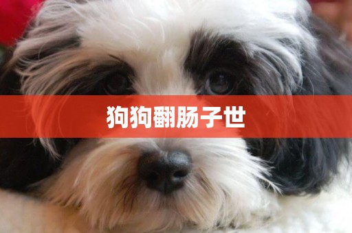 狗狗翻腸子世