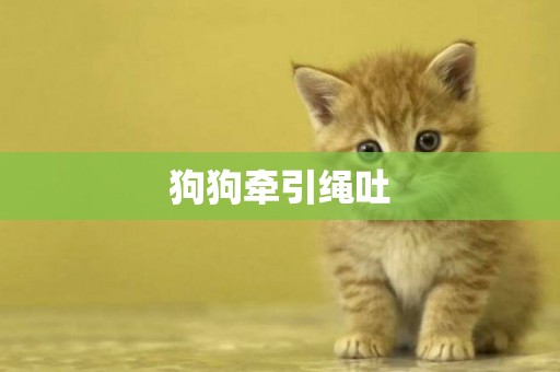 狗狗牽引繩吐
